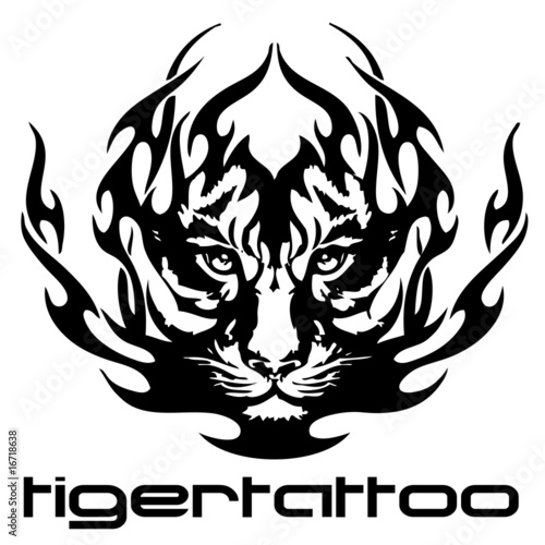vector illustration tattoo - tiger