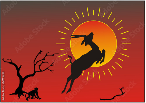 Unter der Sonne Afrikas