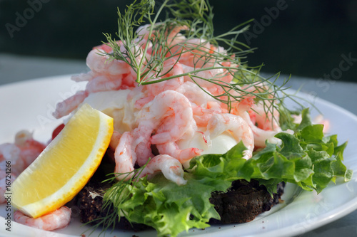Shrimp salad sandwich