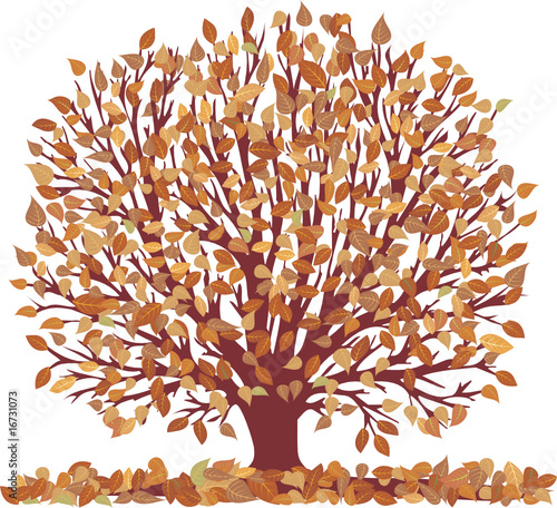 autumntree