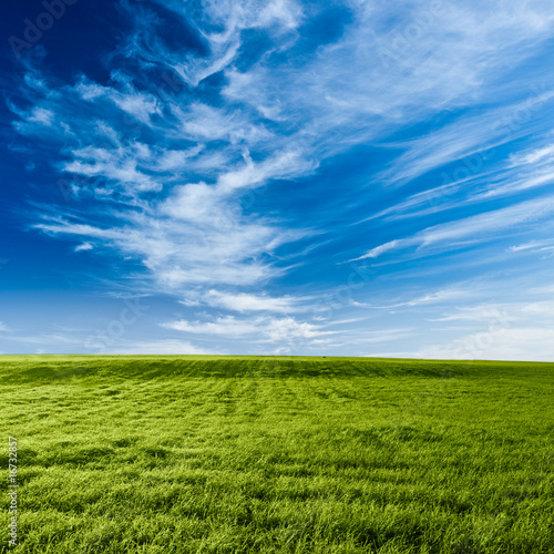 blue skies above the green field