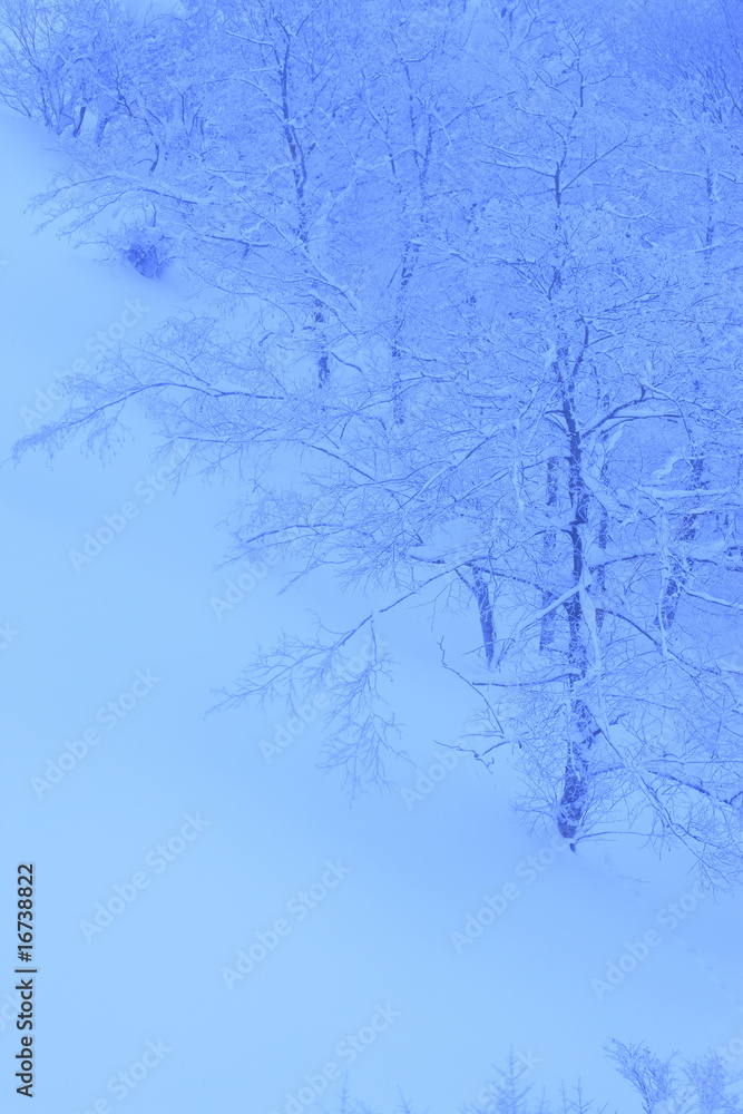 雪景色 雪景色