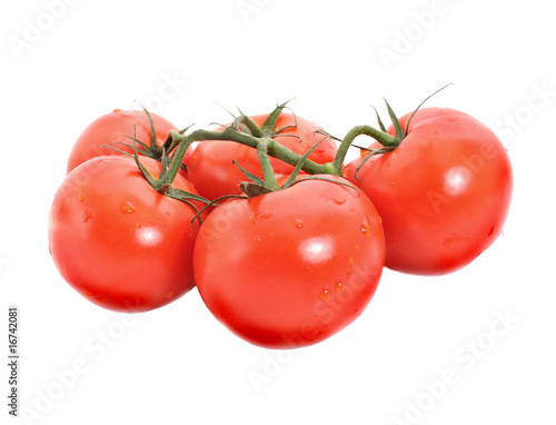 Tomato