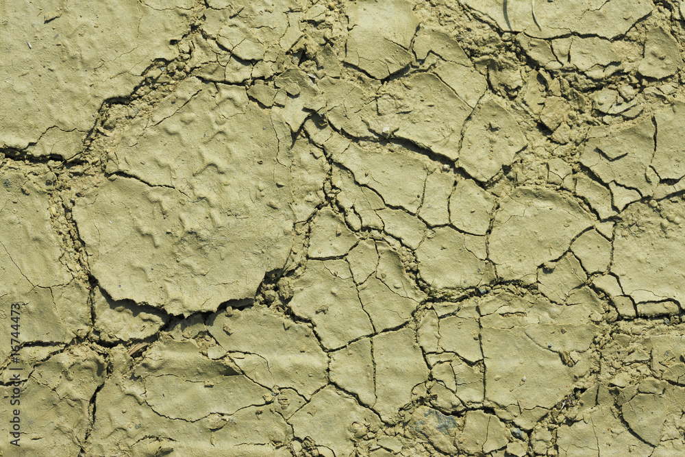 Fototapeta premium 皹割れ