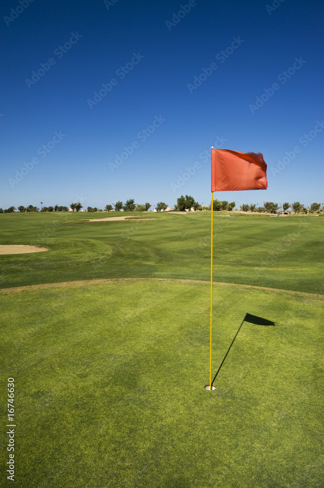 Obraz premium On the green