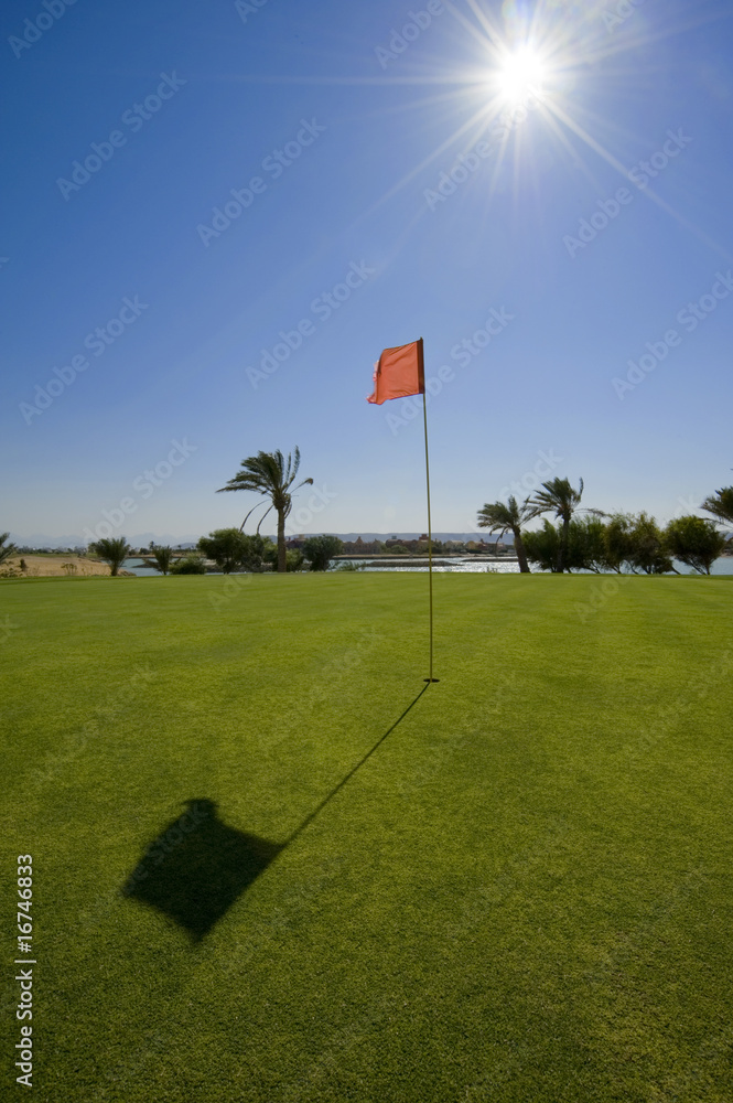 Obraz premium Golf green in the sun