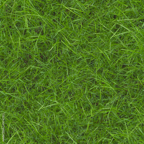 Gras - nahtlos aneinandersetzbar