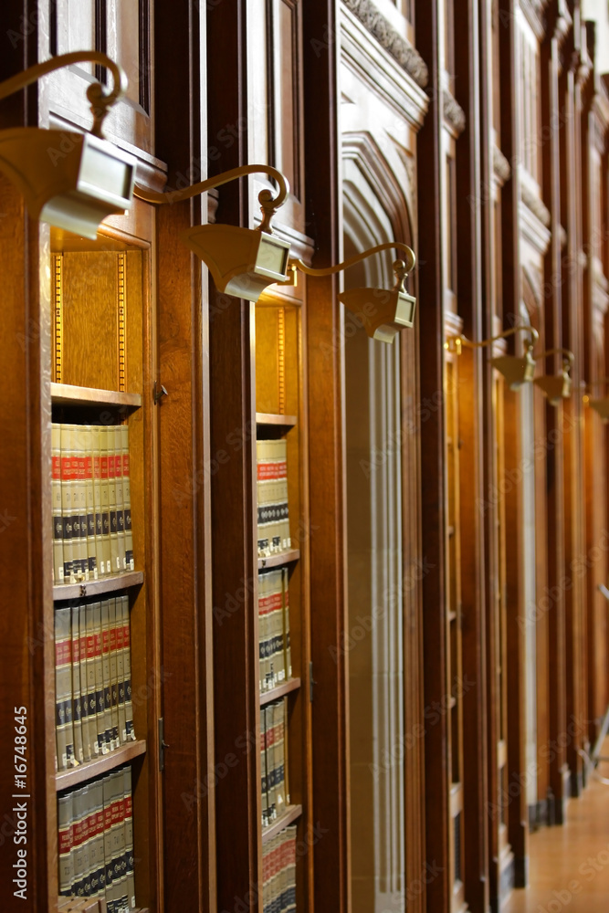 Obraz premium Law Book Library