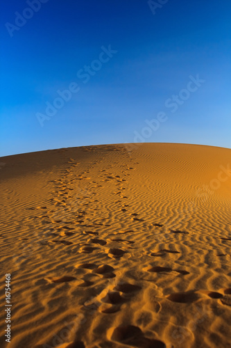 sunset over sand dune