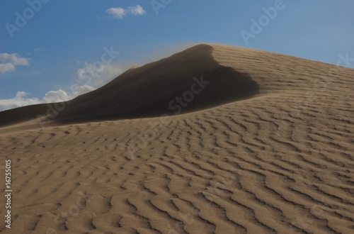 Sand Dunes in Gobi Desert
