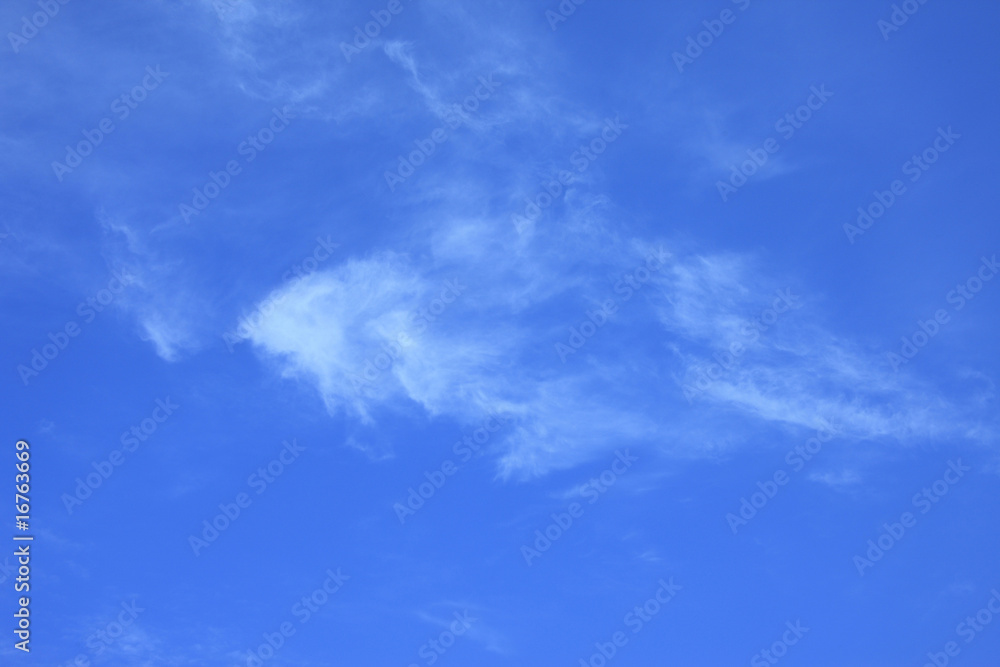 Obraz premium 青空