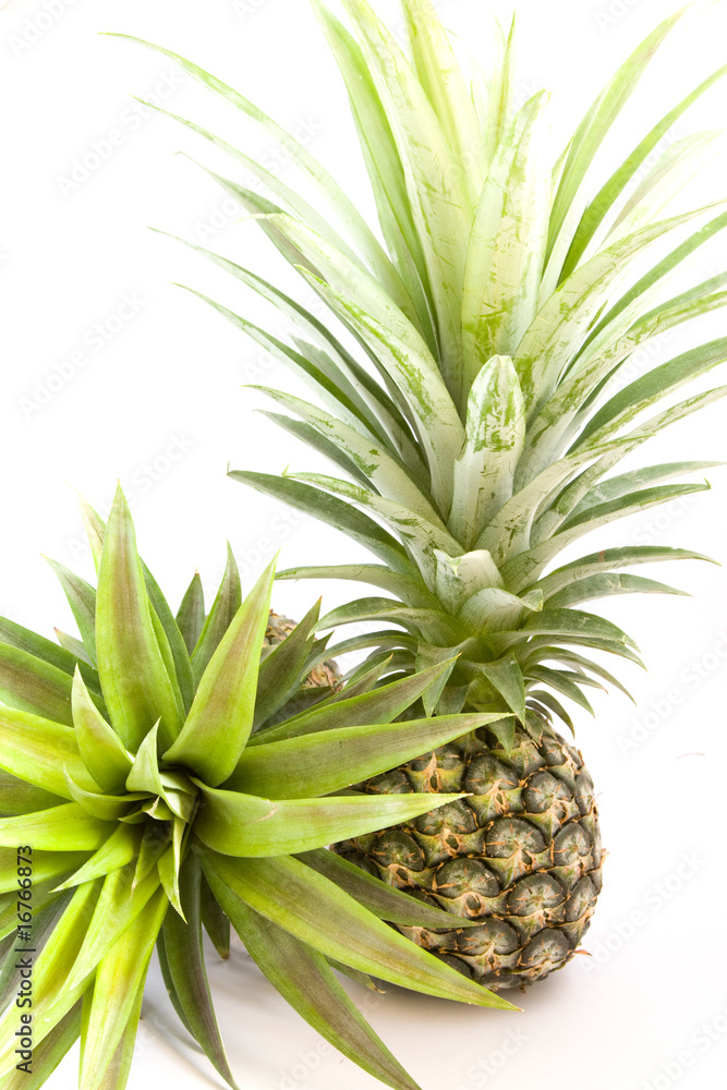 Pineapple on a white background Pineapple on a white background
