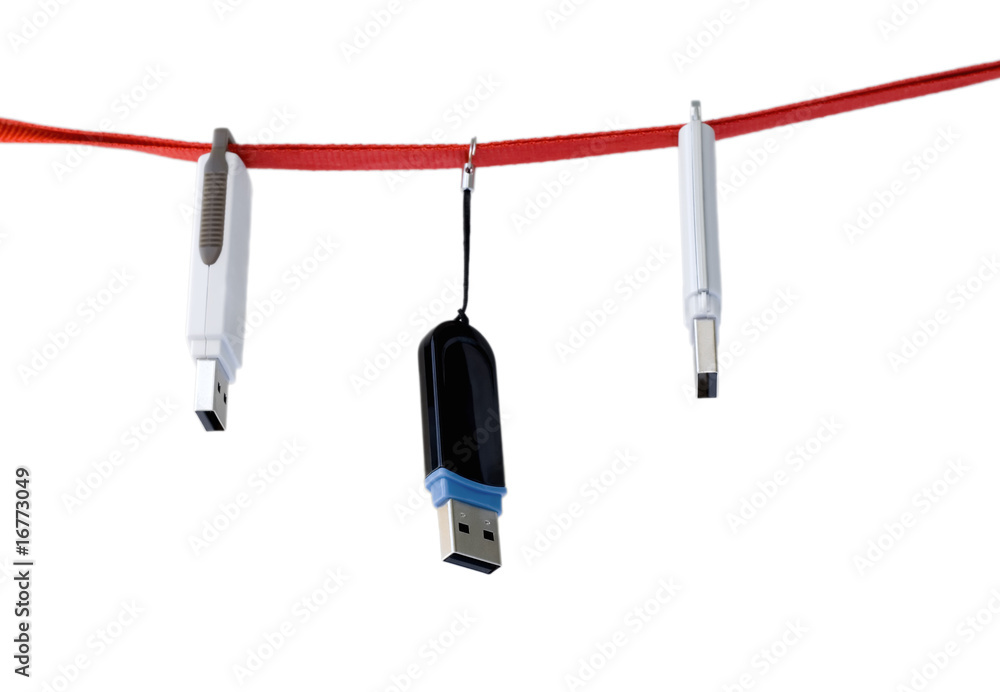 Fototapeta premium usb flash disk