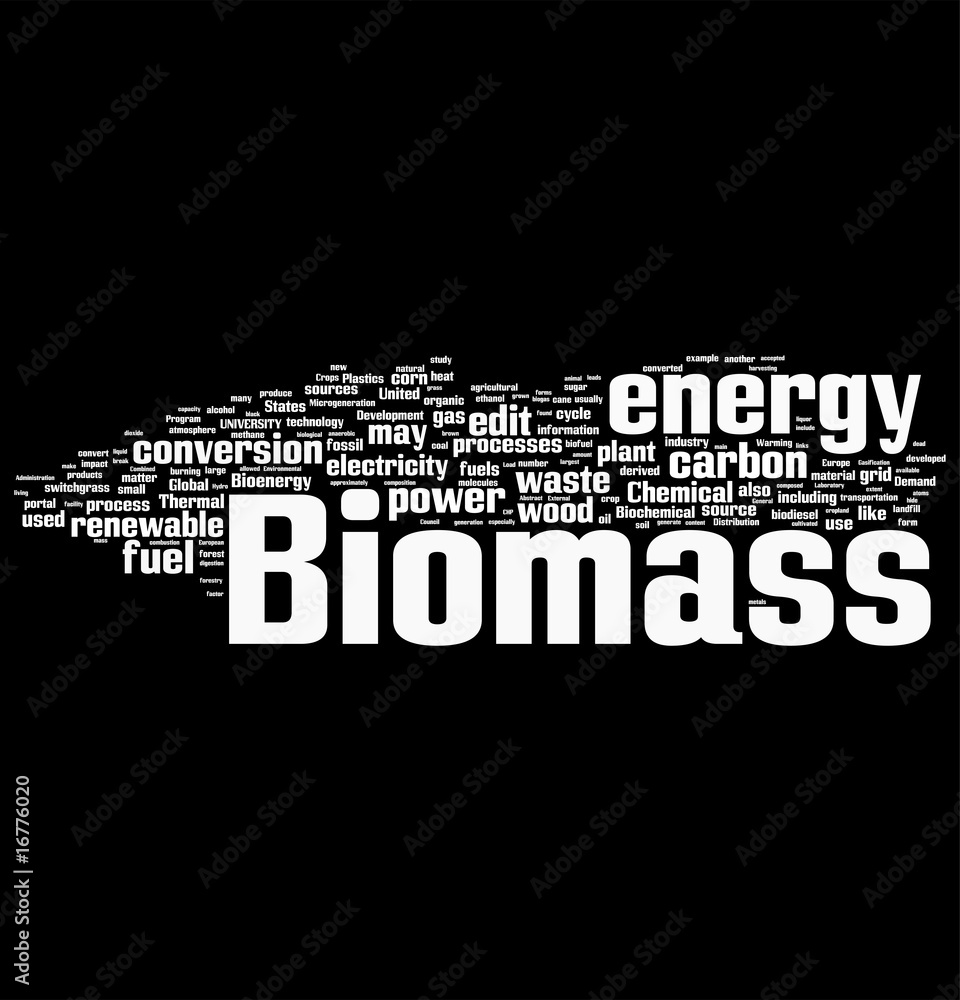 Biomass word cloud