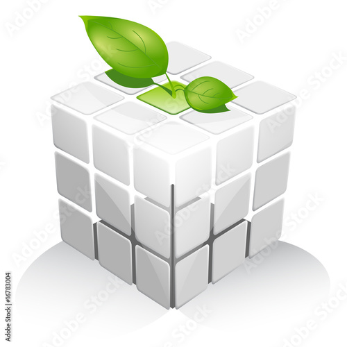 ecology box