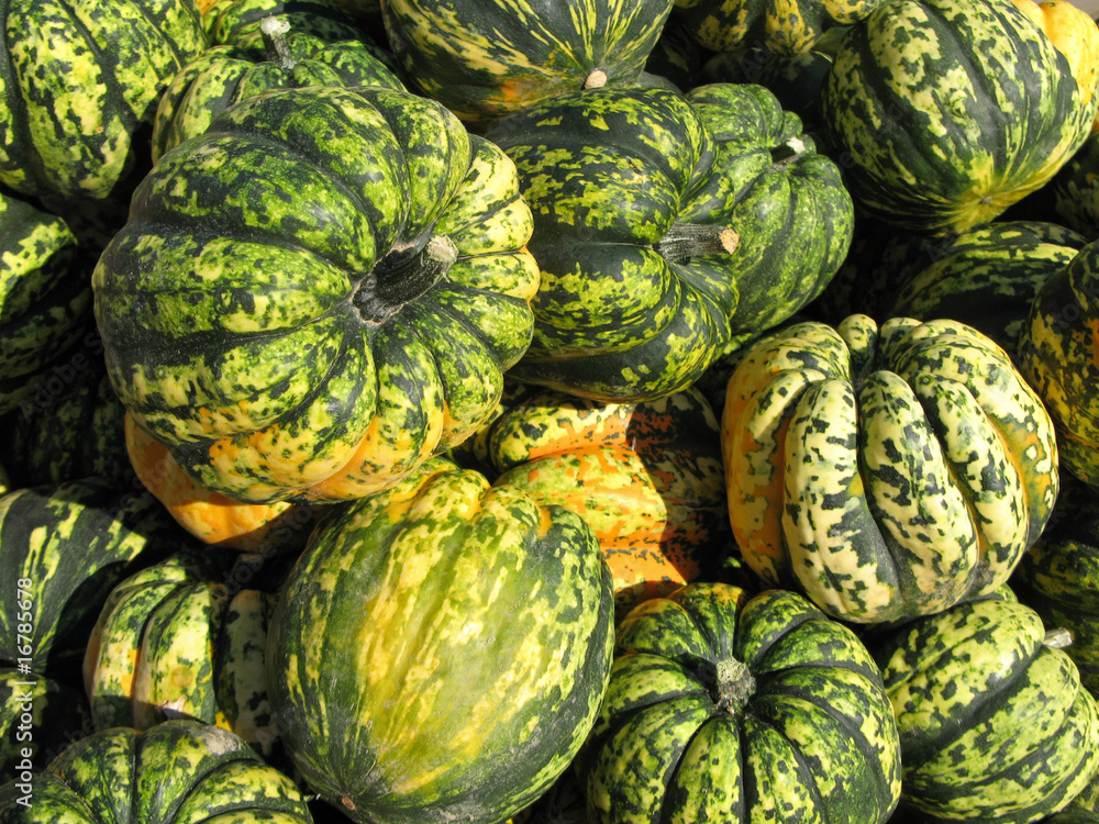 pumpkins pumpkins