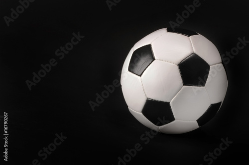 Soccer Ball © W.Scott McGill