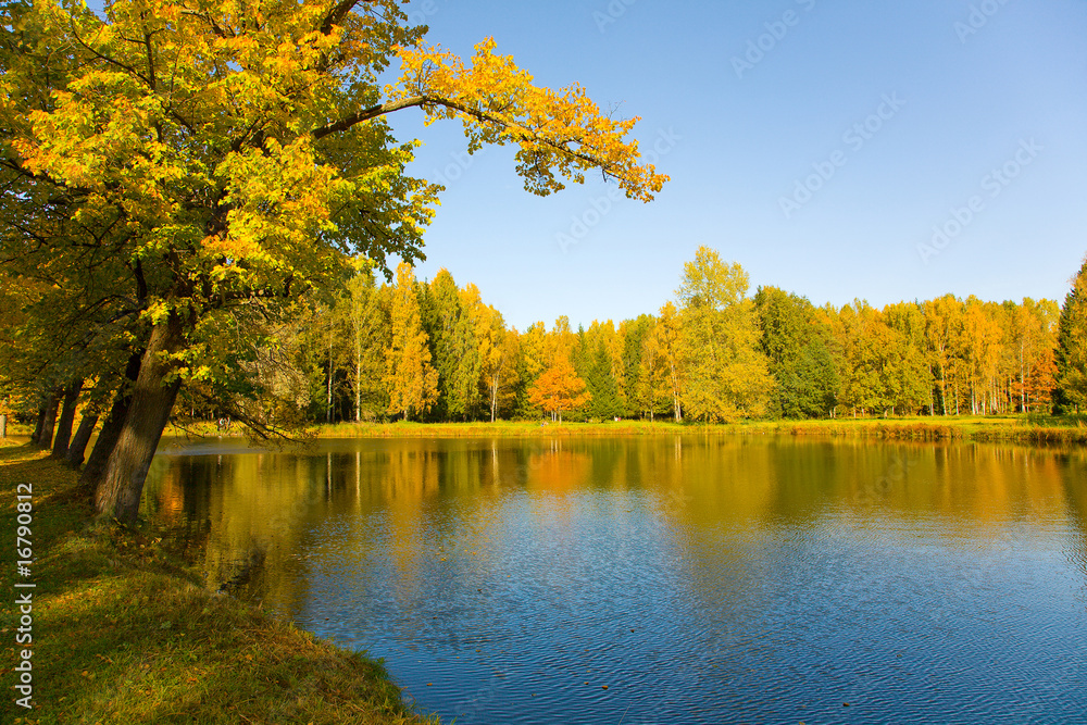 Fototapeta premium autumn landscape