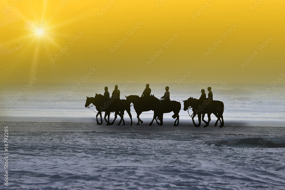 Morning sun horse ride. (moving on the sun)