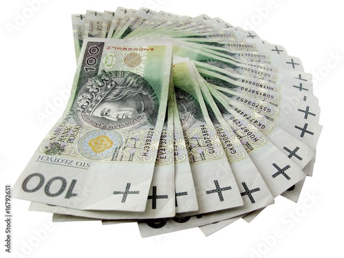 polish currency