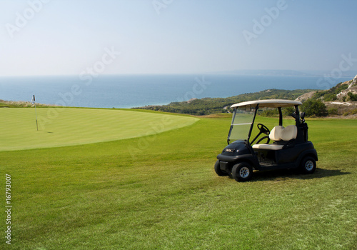 Small golf car waiting for golfers