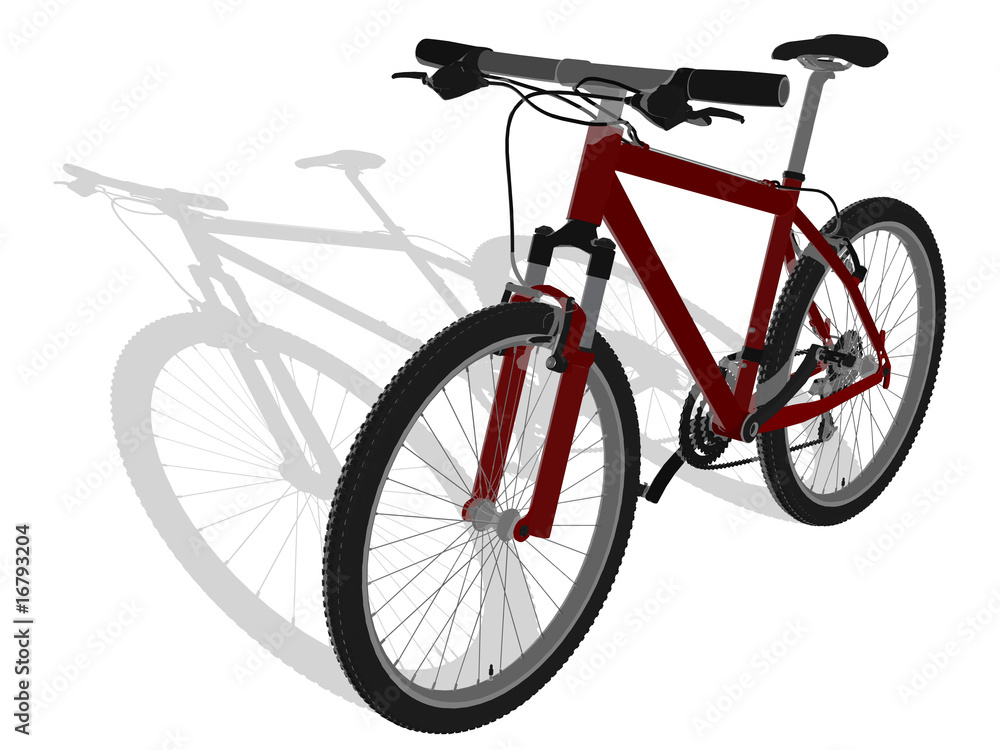 Fototapeta premium Mountainbike - Perspektive