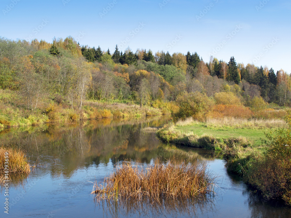 Autumnal scene