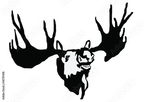 elk