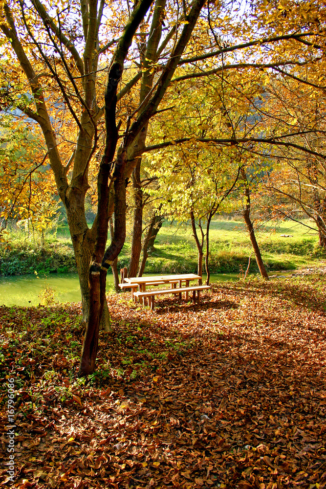 Autumn picnic in the nature