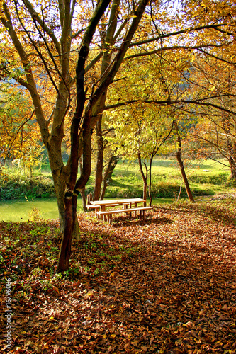 Autumn picnic in the nature