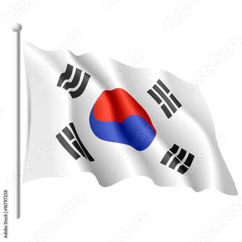Flag of South Korea. Vector.