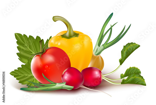 Vector. Colorful fresh group of vegetables