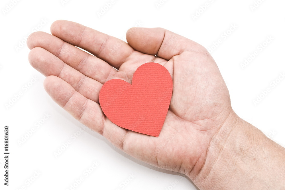 Heart in the hand Heart in the hand