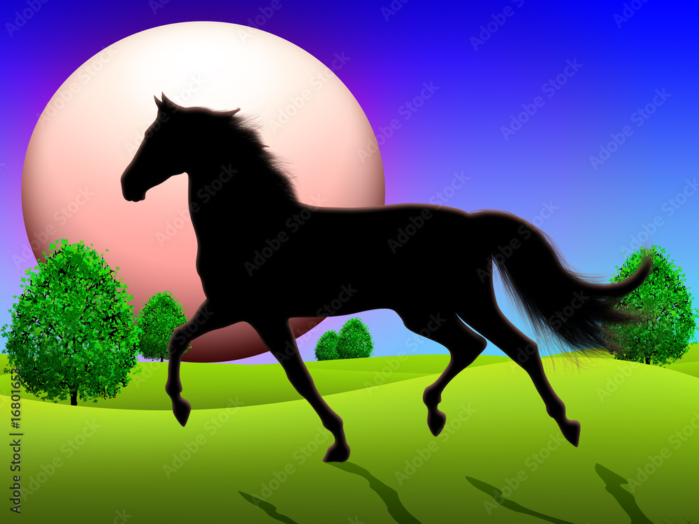 Cavallo su Prato-Horse on Field-Cheval sur l'Herbe Cavallo su Prato-Horse on Field-Cheval sur l'Herbe