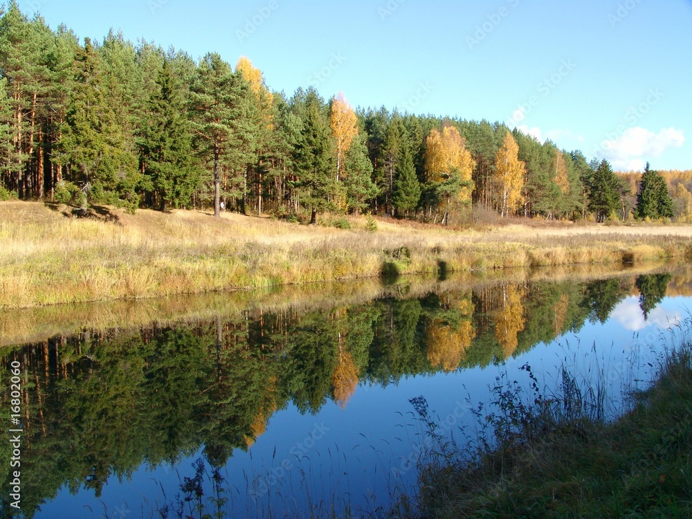 Autumn landscape. River