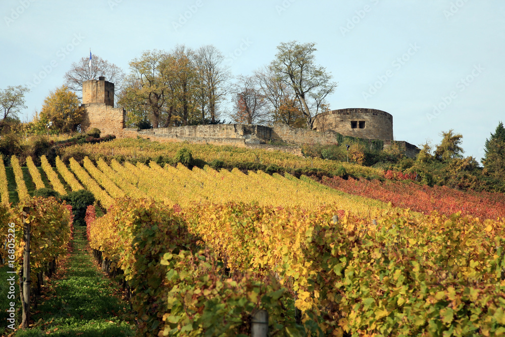 Vineyards and castle