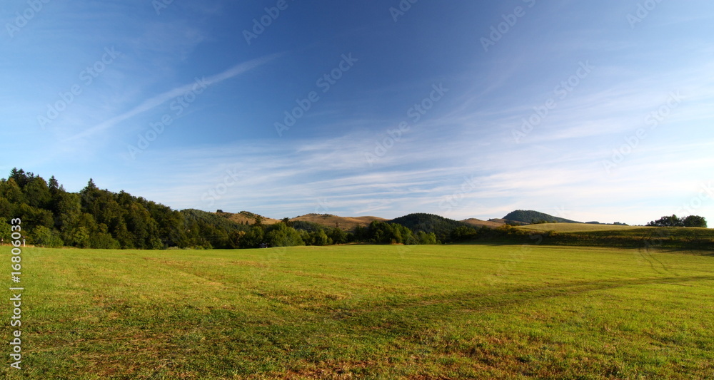 summer landscape