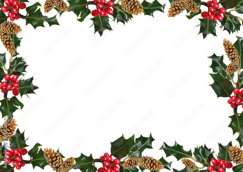 Holly and Pine Cone Frame Holly and Pine Cone Frame