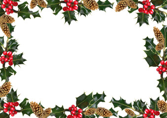 Holly and Pine Cone Frame