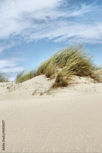 Fototapeta Naklejka Na Ścianę i Meble -  dunes at the Baltic sea