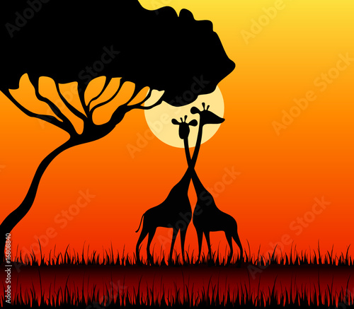 Silhouettes of giraffes against a decline in a safari