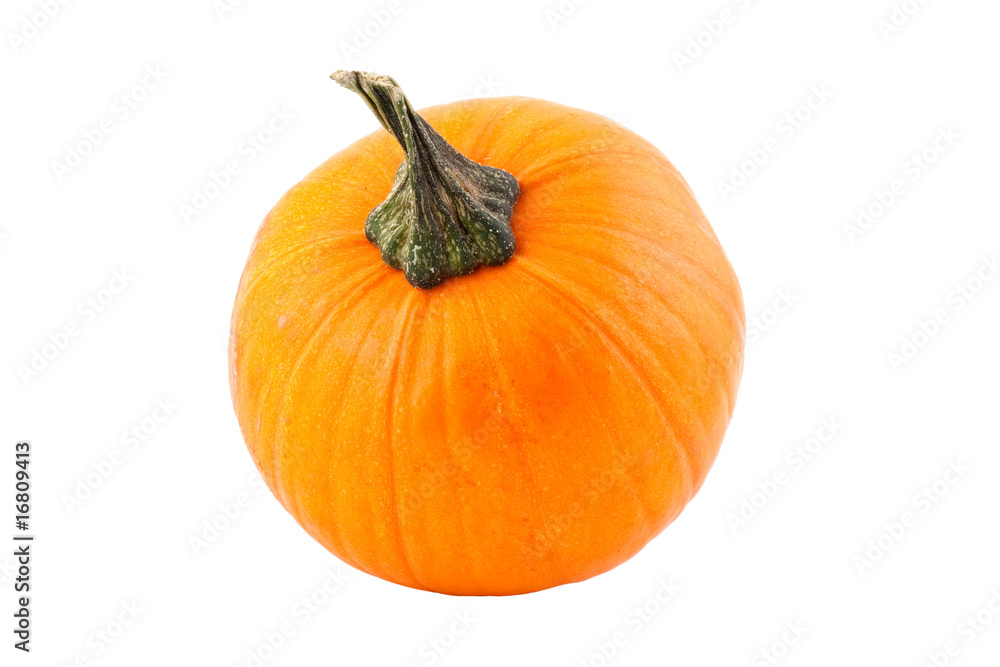 Obraz premium Pumpkin
