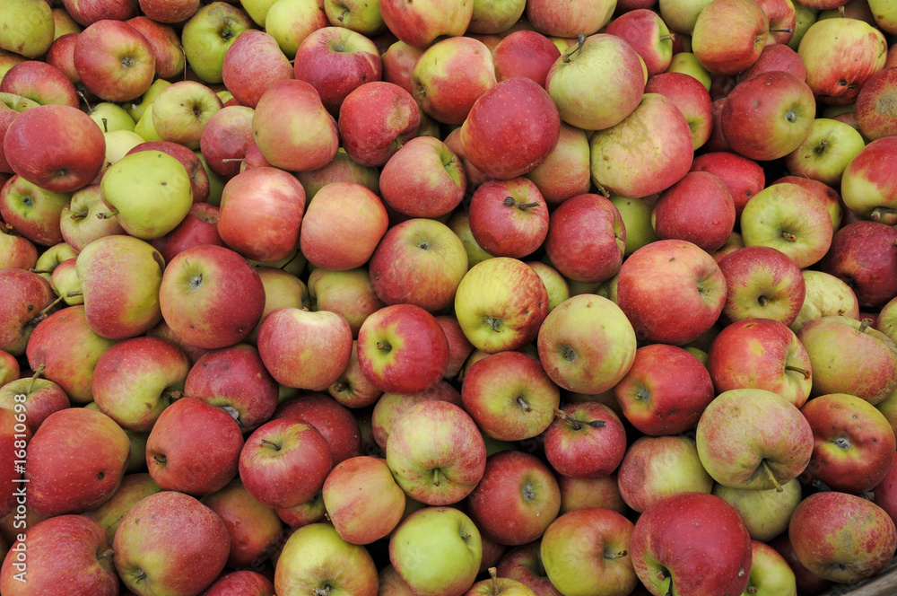 Äpfel Äpfel