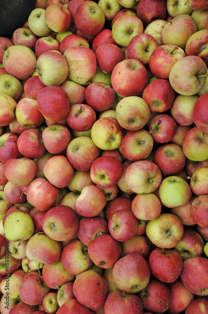 Äpfel Äpfel