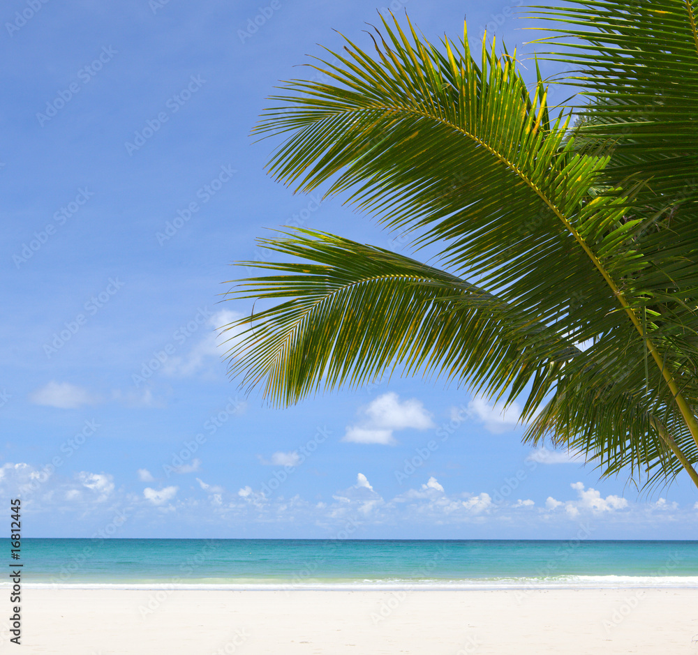 Seascape background Seascape background
