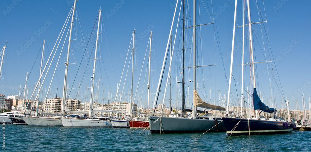 Luxury yachts in Palma harbor