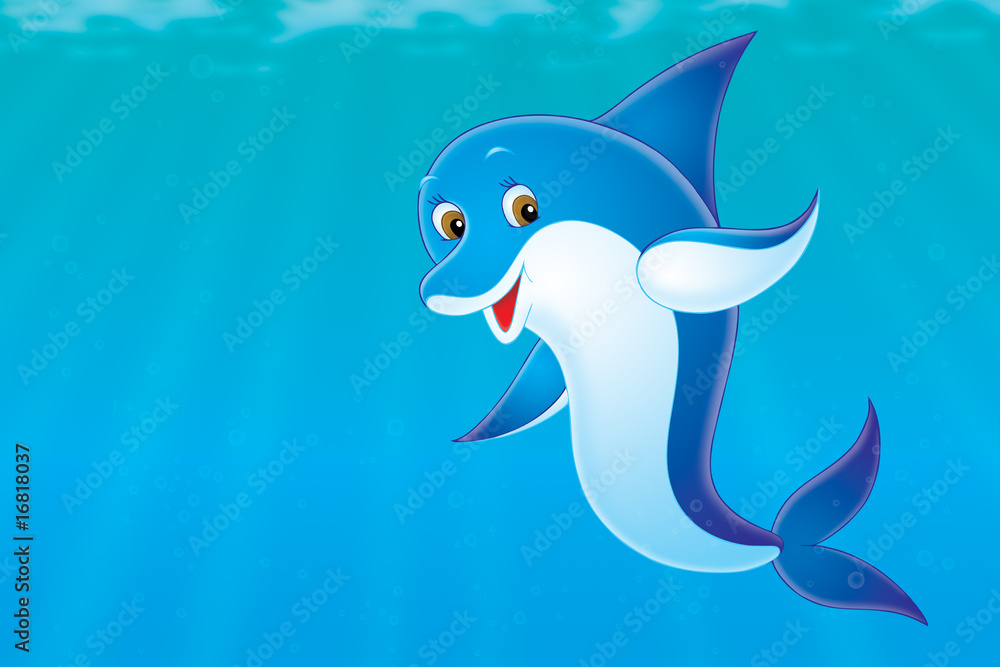 Fototapeta premium Dolphin