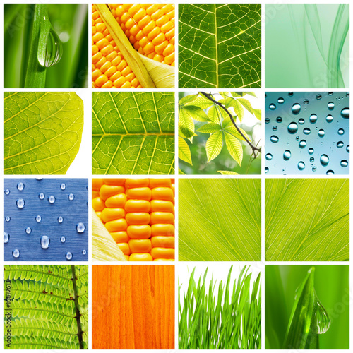 Nature collage
