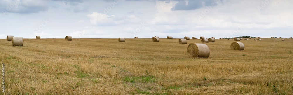 field with straw in roll
