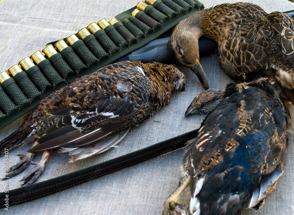 Obraz premium The hunting still-life